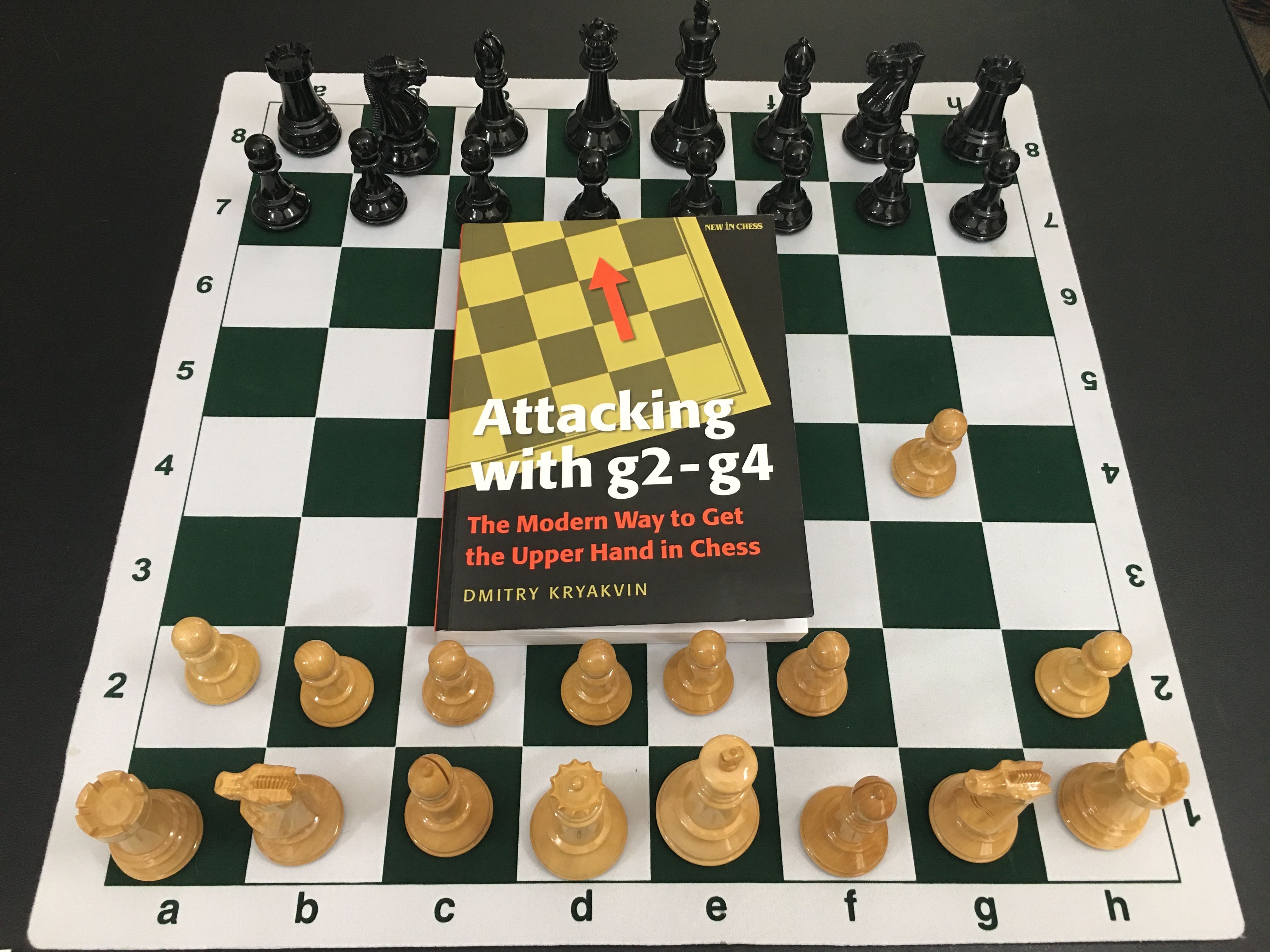 The HIPPO System: A Universal Chess Opening for White & Black by